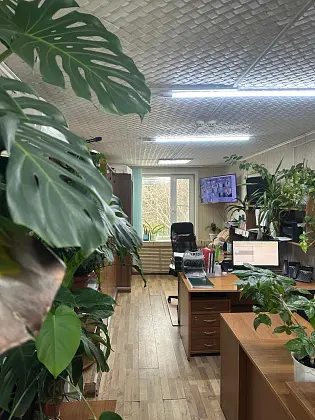 Диспетчерская служба в Обществе5